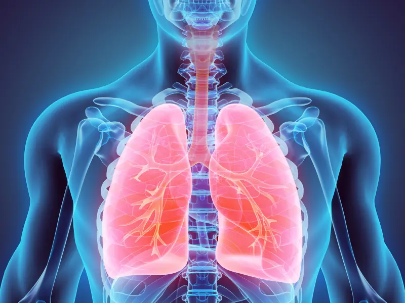 VITRO score dynamics as a predictor of post-liver transplantation outcomes